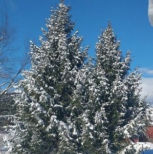 Meet your Posher, Deb